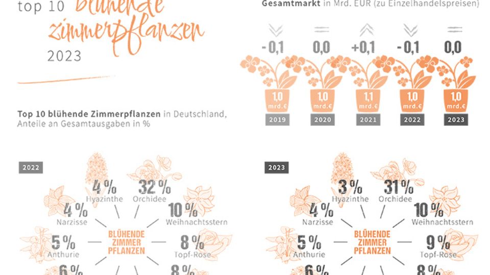 Blühende Zimmerpflanzen