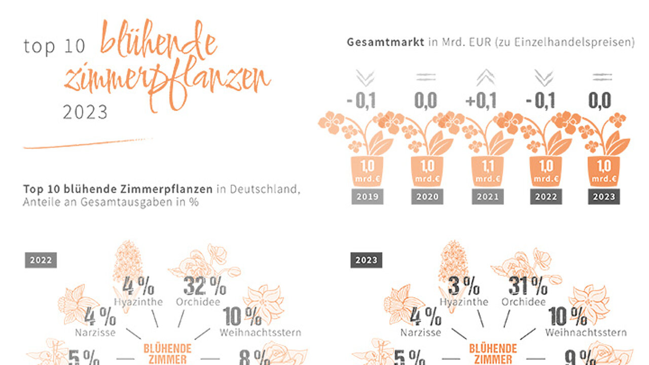Blühende Zimmerpflanzen
