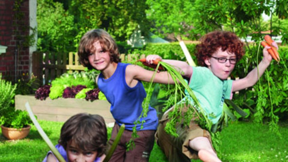 Knorr sucht Stadtbauern