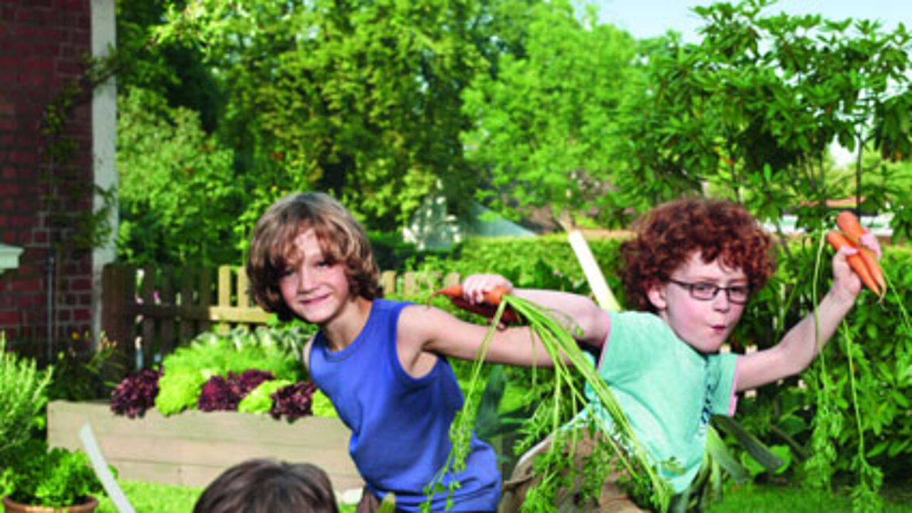 Knorr sucht Stadtbauern