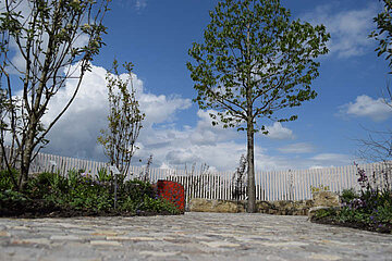 Image-13085