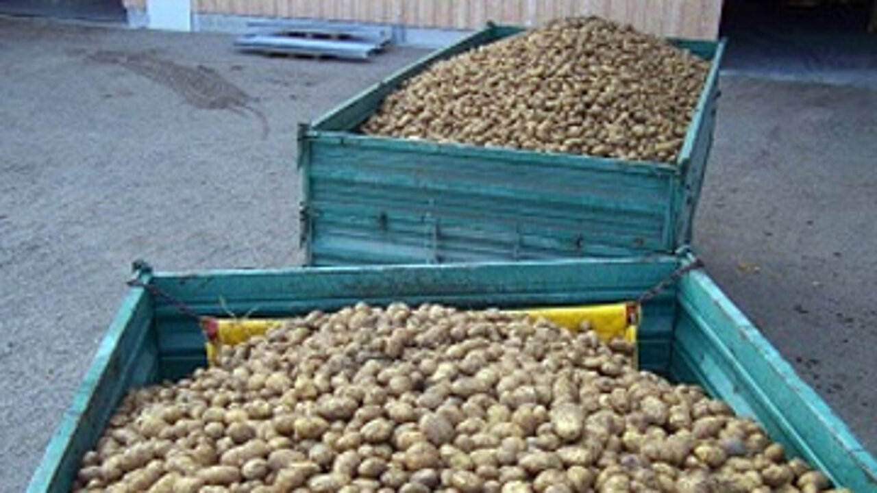 Kartoffeln