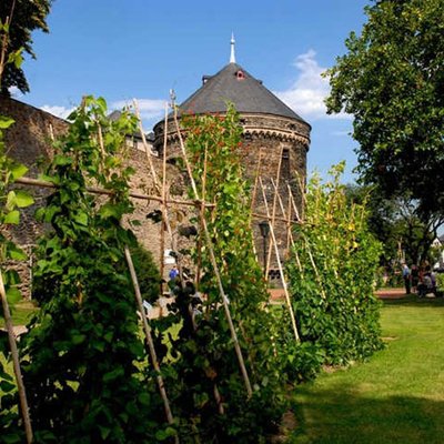 Essbare Stadt Andernach