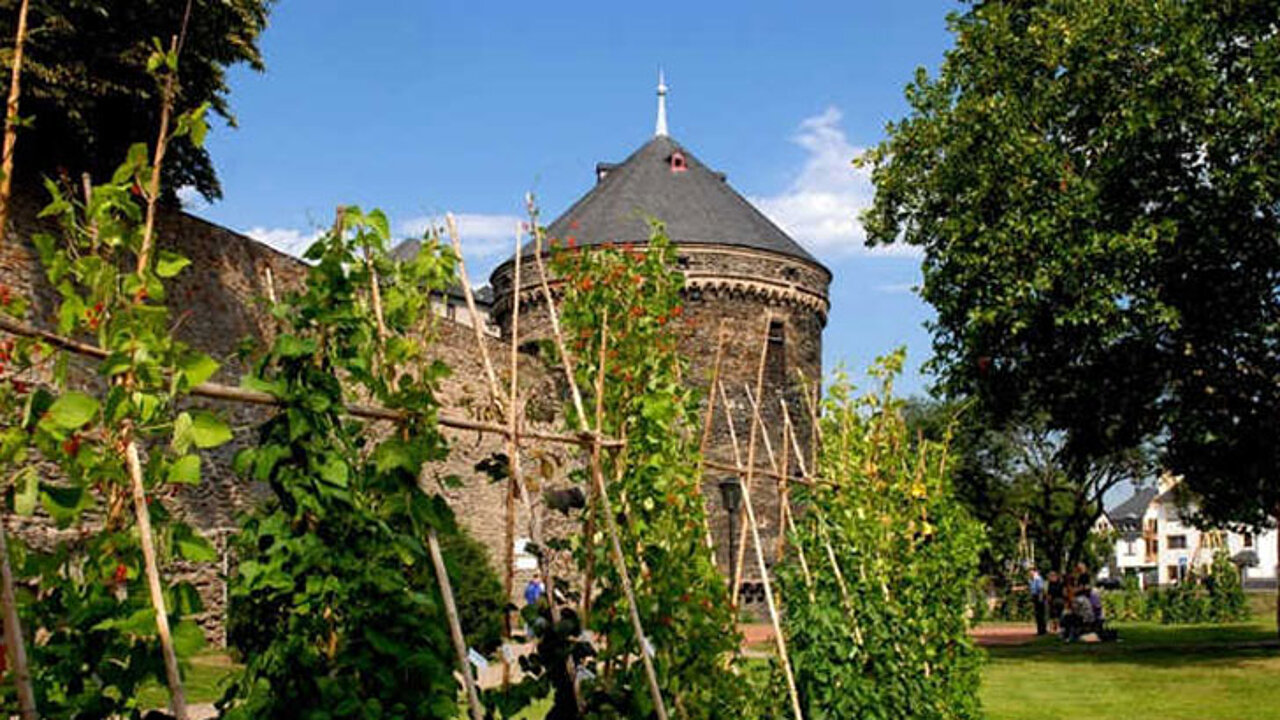 Essbare Stadt Andernach