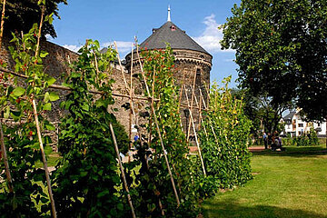 Essbare Stadt Andernach