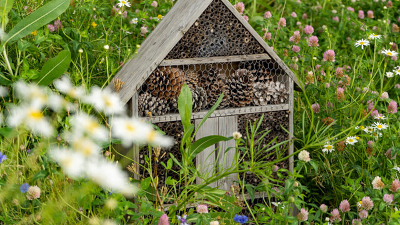 Insektenhotel