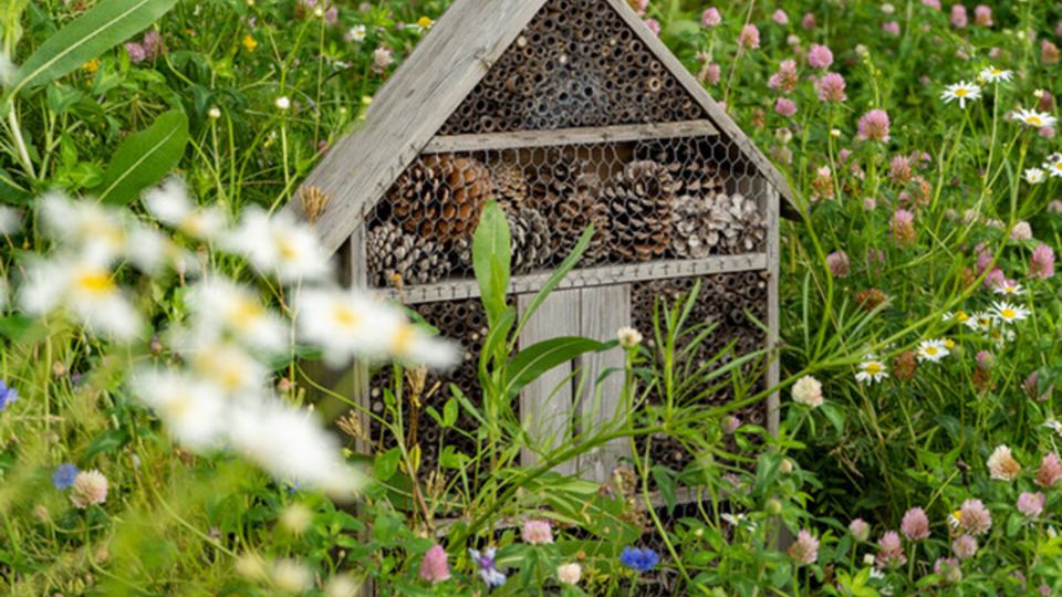 Insektenhotel