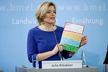 Julia Klöckner
