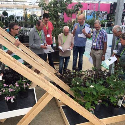Garden Trials and Trade