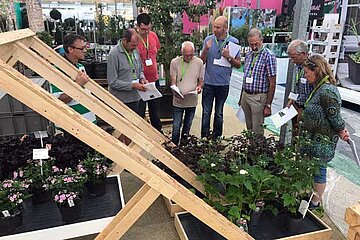 Garden Trials and Trade