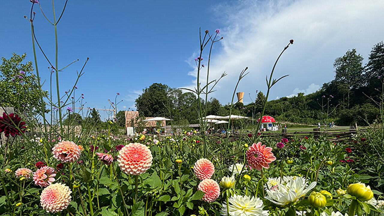 Landesgartenschau