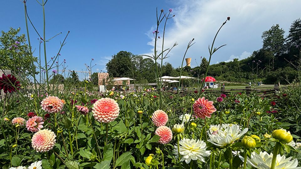 Landesgartenschau