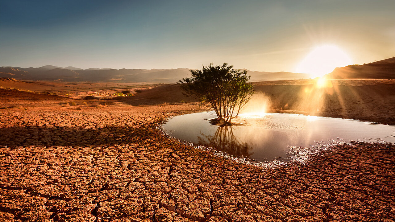 Wasserknappheit - Studie von BCG und NABU