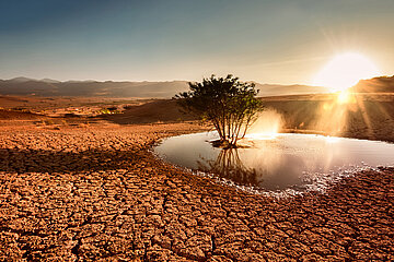 Wasserknappheit - Studie von BCG und NABU