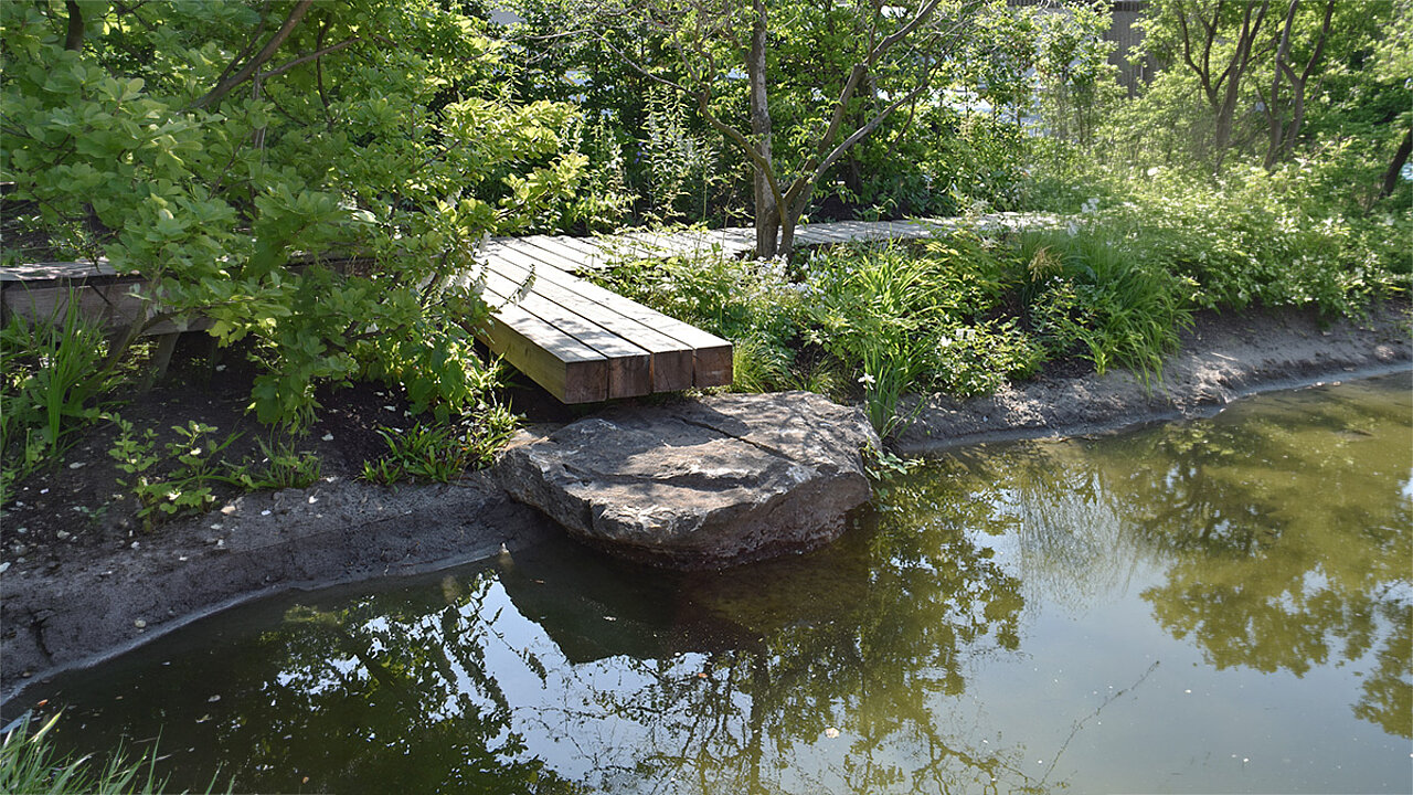 Gartenteich