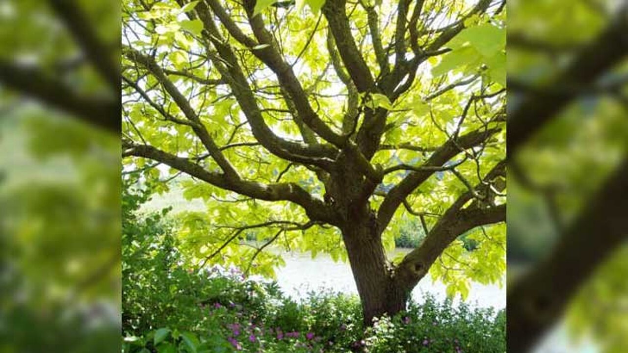 image-8930