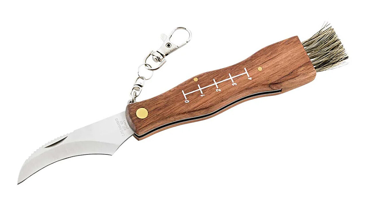 Herbertz Pilzmesser mit Bürste