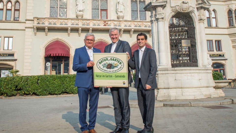 Natur im Garten