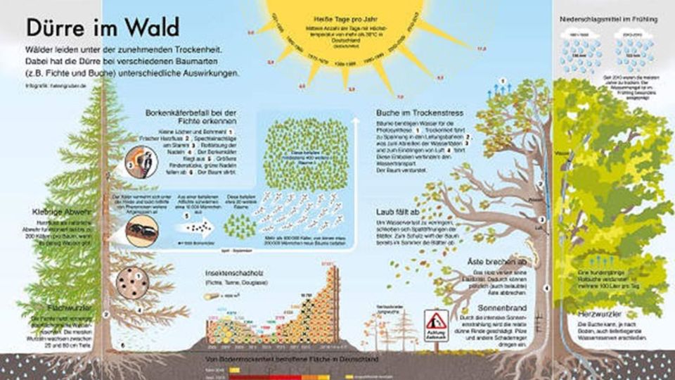 Infografik