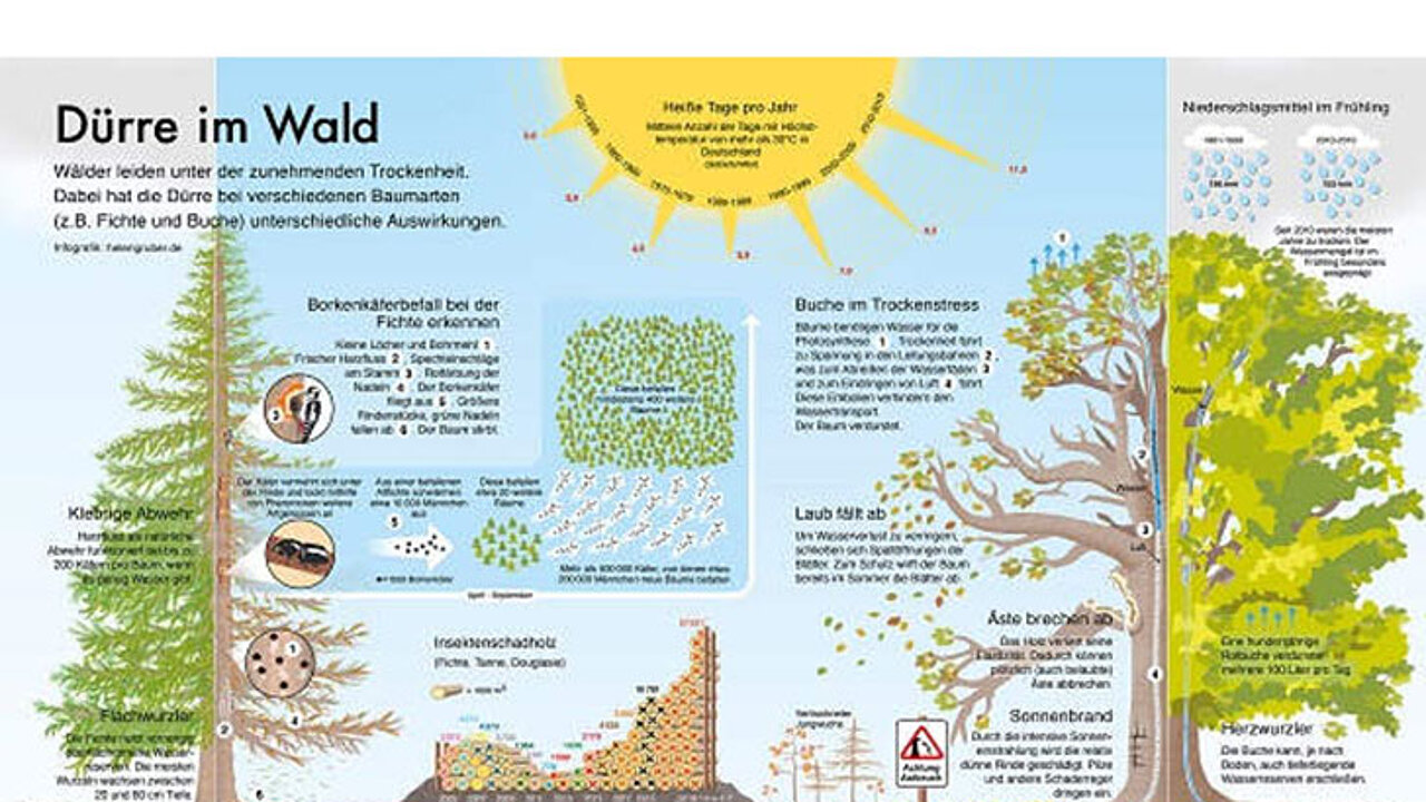 Infografik