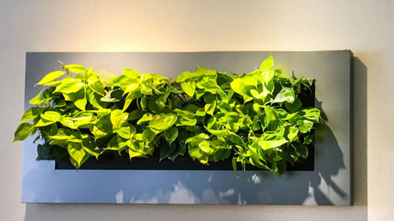 Kunstwerk der Natur