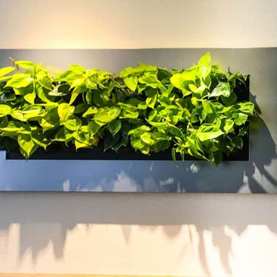 Kunstwerk der Natur