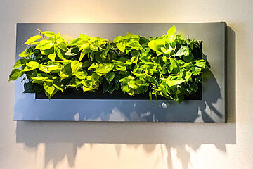 Kunstwerk der Natur