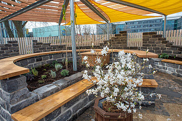 Image-12956