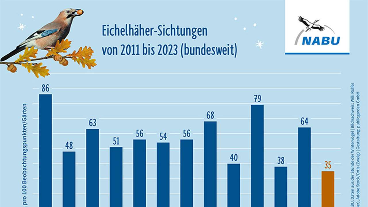 Stunde der Wintervögel