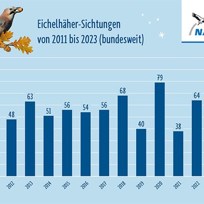 Stunde der Wintervögel