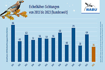 Stunde der Wintervögel