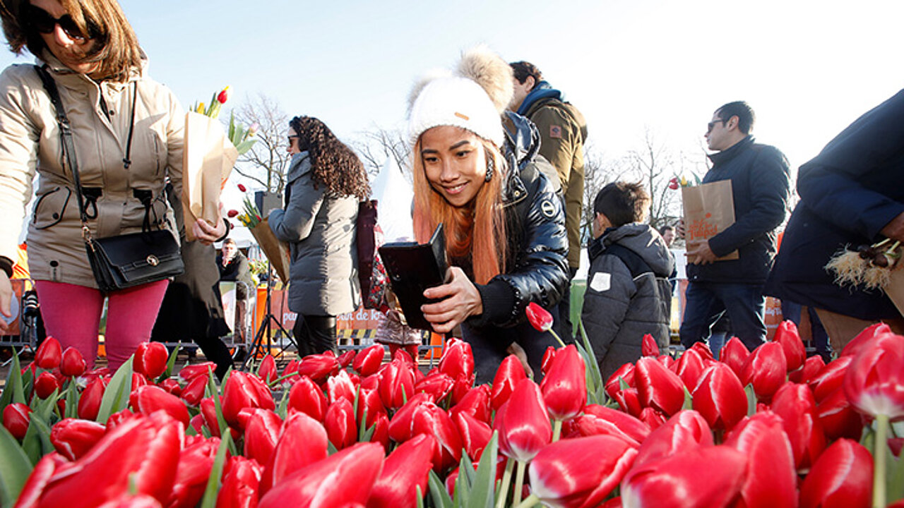 Tulpenfest Amsterdam
