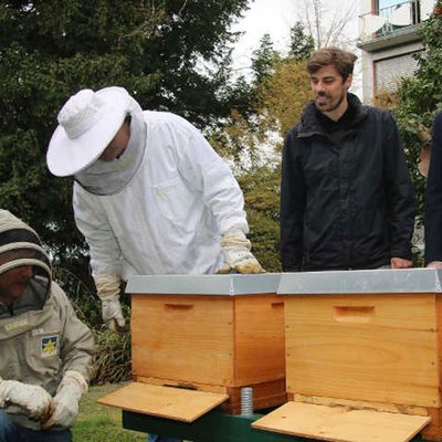 Bienenstöcke