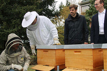 Bienenstöcke