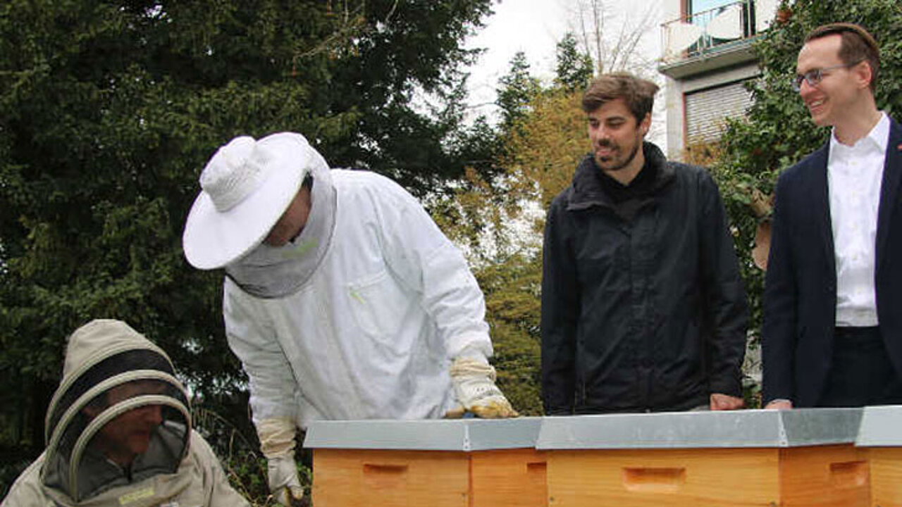Bienenstöcke