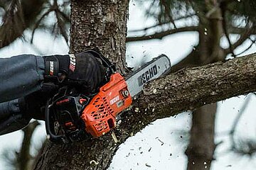 ECHO CS-2511TES