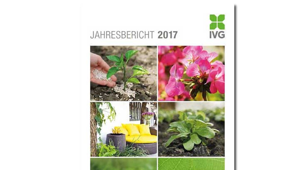 IVG Jahresbericht