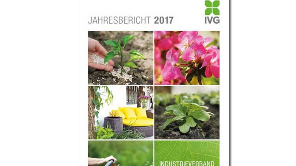 IVG Jahresbericht