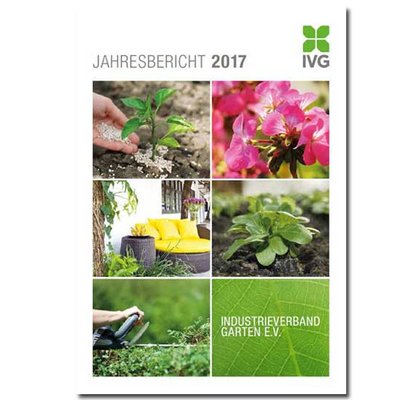 IVG Jahresbericht