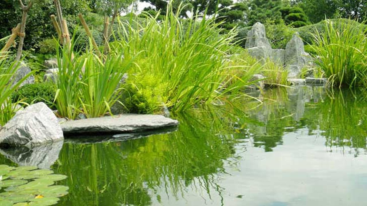 Gartenteich