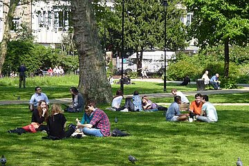 Grüne Stadt