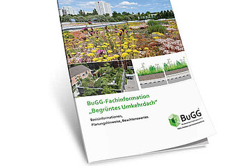 Fachinformation
