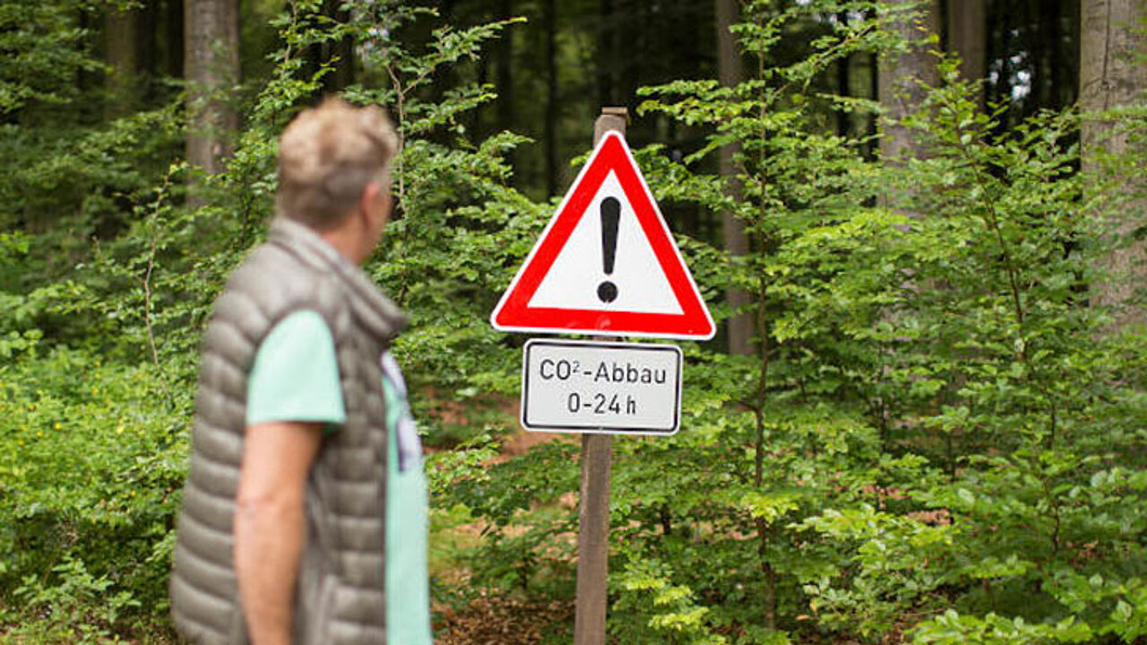 Stadtwald der Stadt Warstein