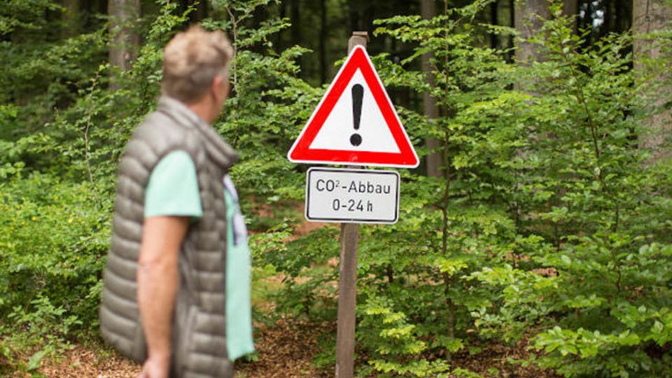 Stadtwald der Stadt Warstein
