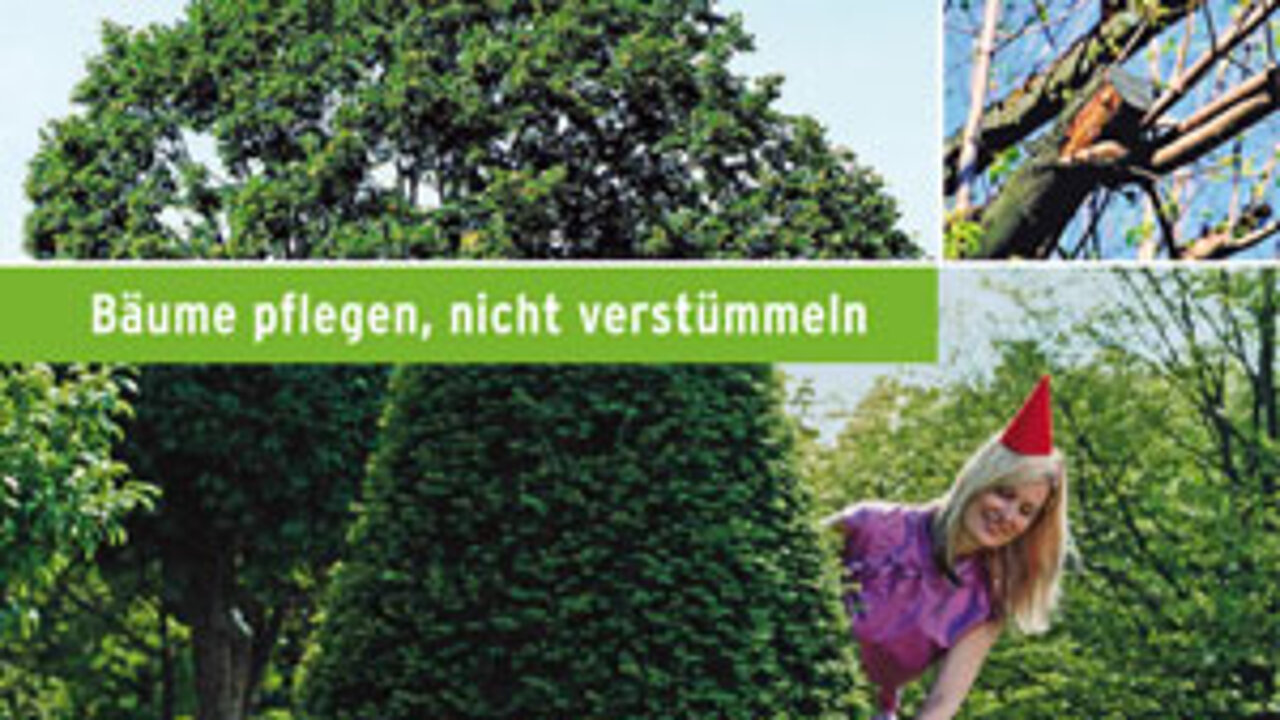 Baumpflegebroschüre