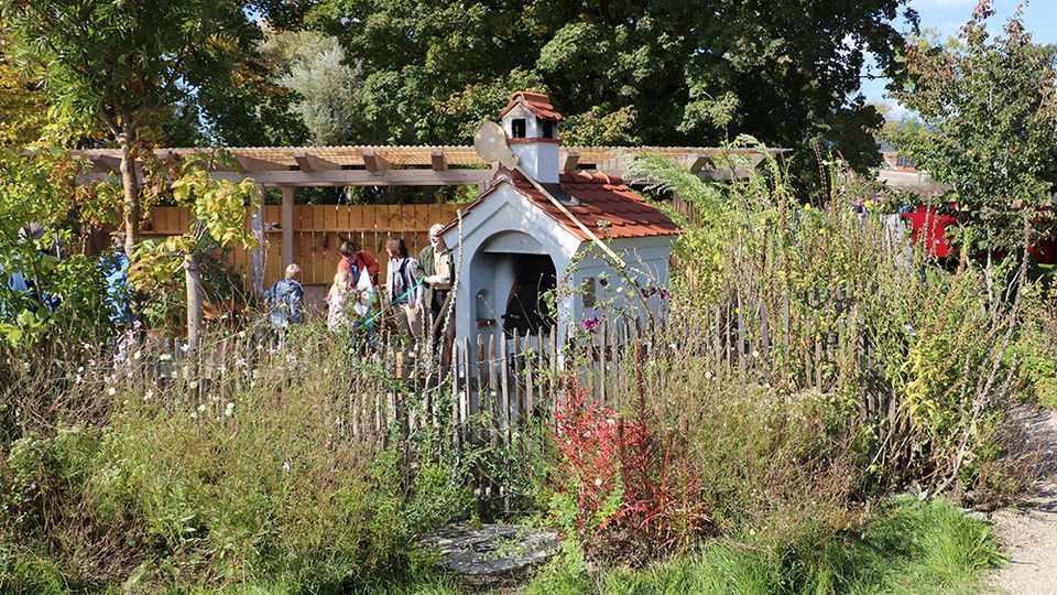 Themengarten „Struktur in Blüte“