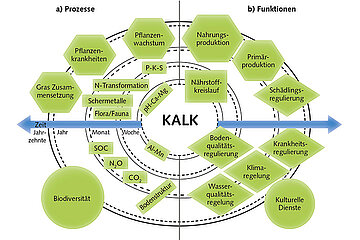 Kalkdüngung