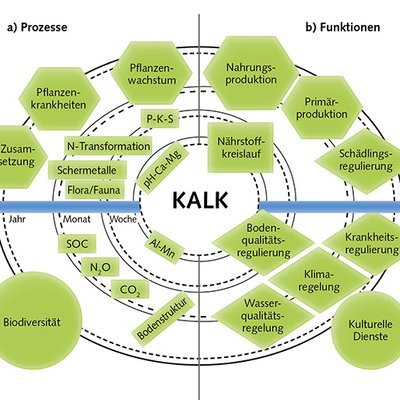 Kalkdüngung