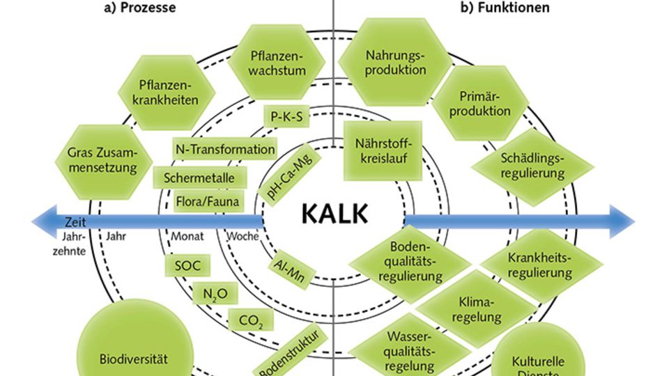 Kalkdüngung