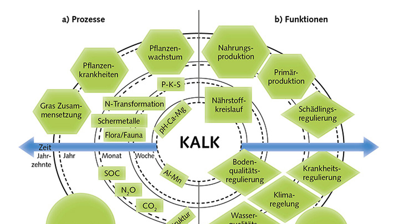 Kalkdüngung